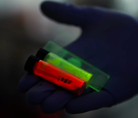 Halophore